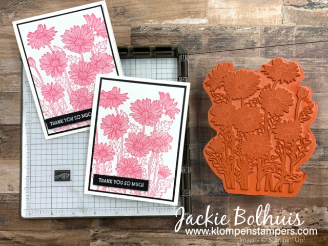 The Stamparatus makes easy card ideas in minutes.