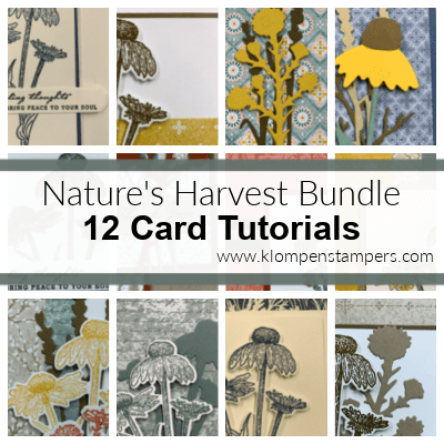 Stampin-Up-Natures-harvest-bundle-12-card-tutorials