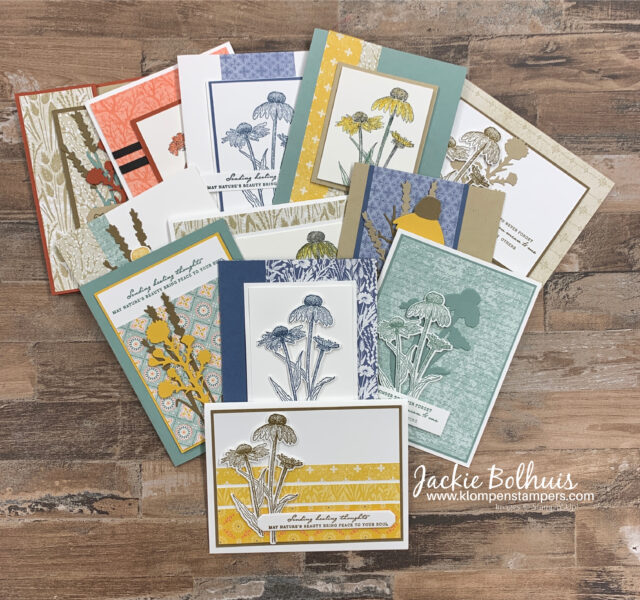 In-addition-to-the-DIY-Get-Well-Card-I-have-12-other-cards-with-Nature's-Harvest