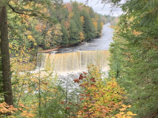 The-fall-foliage-that-inspired-my-card-today.