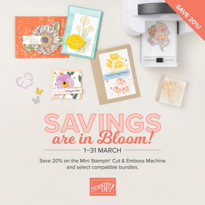 stampin-up-bundles-for-sale
