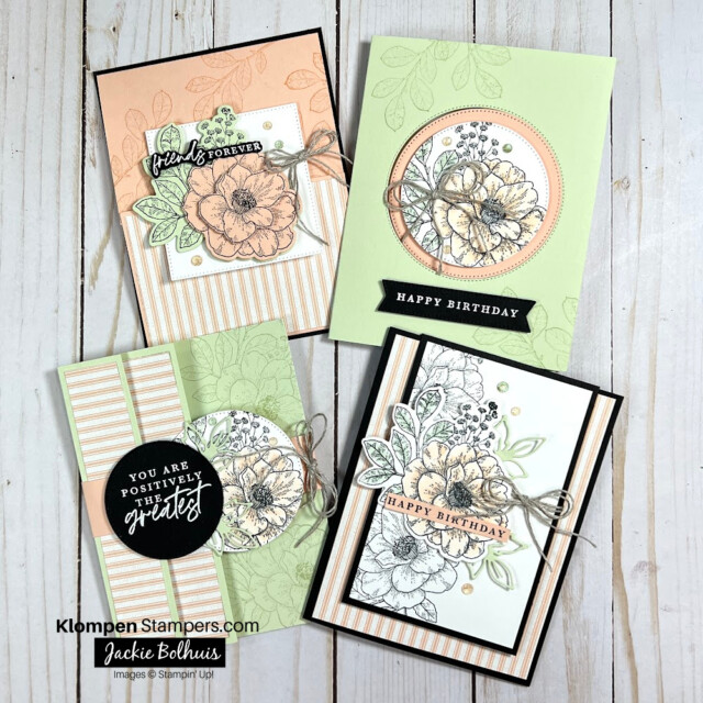Fun Folds Vol 6 template making class using Cottage Rose stamp set