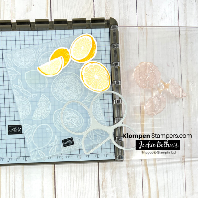 learn tips for using the Sweet Citrus Hybrid Embossing Folder to create texture on your stamped images