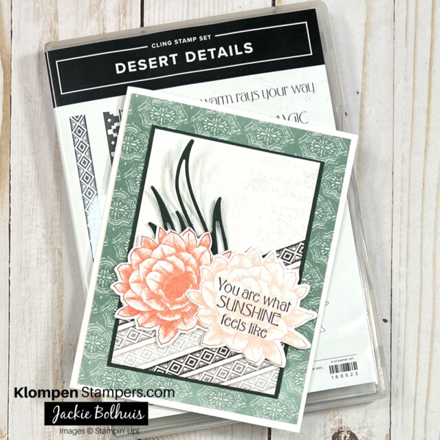 Desert Details stamp set laying flat on table with a card on top of it made using the rubber stamps in the stamp set
