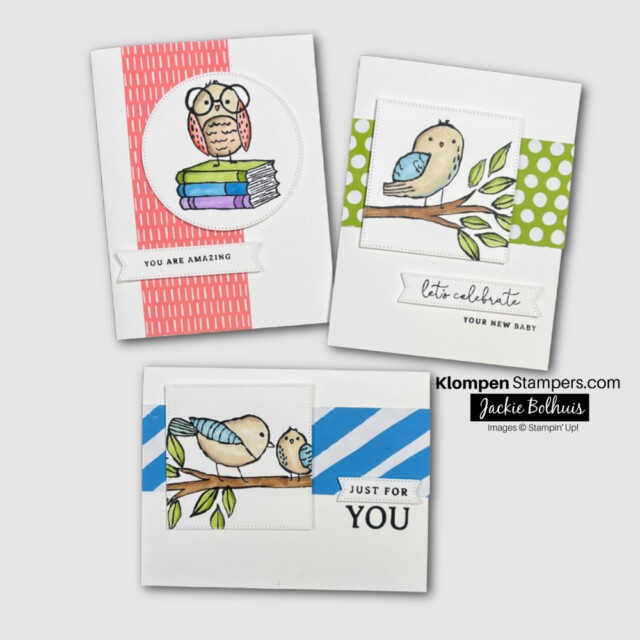 cards made with birds eye view stamp set