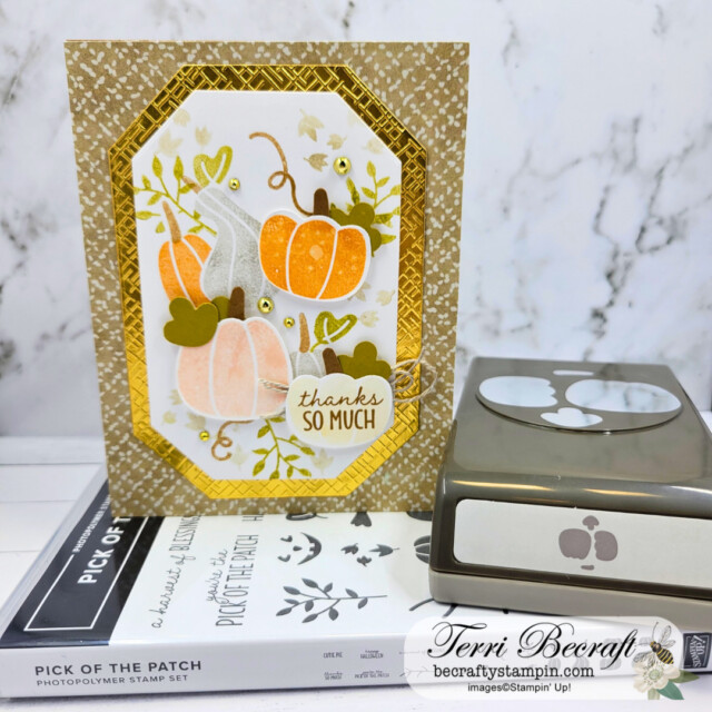 Card created by Klompen Stampers team members Terry Becraft using Pick of the Patch stamp set.