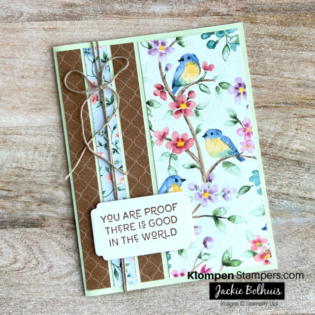 An all occasion greeting card designed by following a card template and created with the Stampin' Up! Designer Series Paper Flight & Airy.