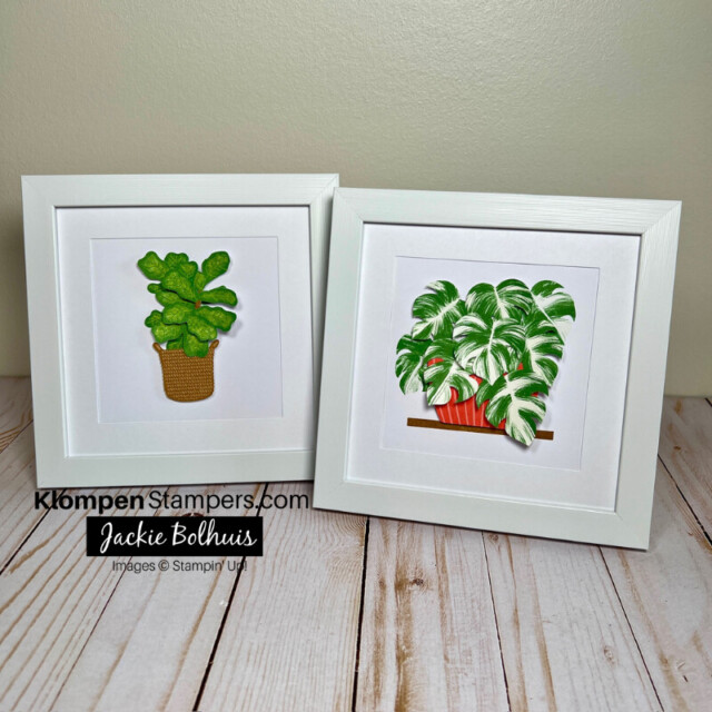 Two of the plants made from the Happy Houseplants paper craft kit.