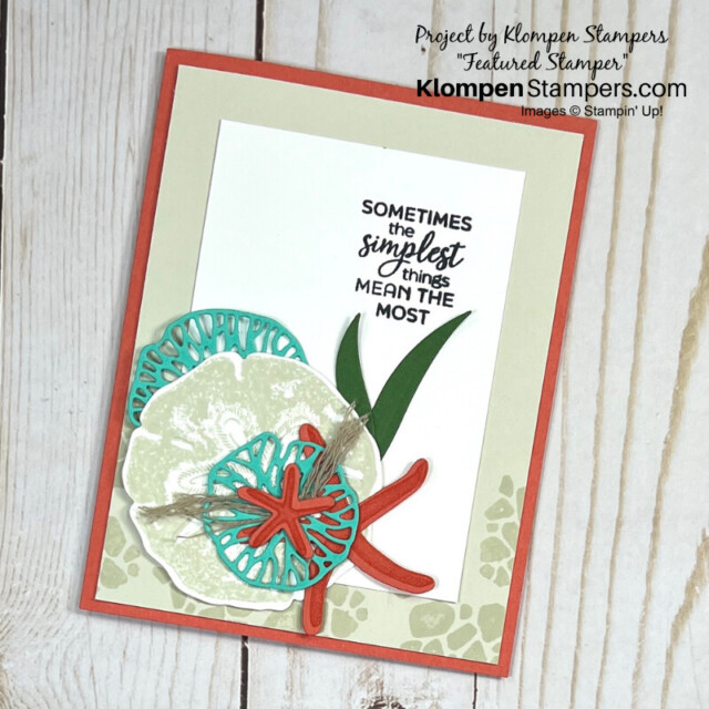 Greeting card for any occasion designed with sand dollars and starfish from the Stampin' Up! Seaside Wishes Bundle.