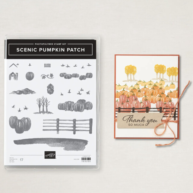 Image from the Stampin' Up! Online Exclusive Website of the Scenic Pumpkin Patch stamp set and a colorful card designed with it.