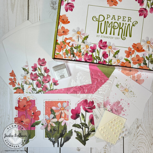 The contents from the July 2024 Paper Pumpkin card making subscription box lying on a table next to the small box they came in.