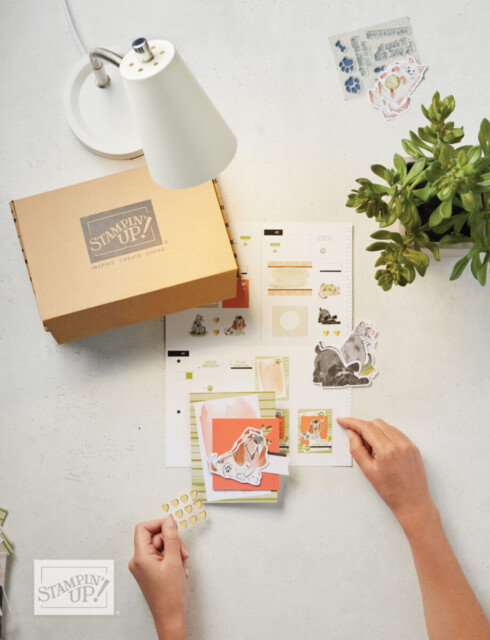 The contents of a Stampin' Up! Card Kit lying on a table. This card kit includes all the supplies needed for making any occasion cards designed with dog images.