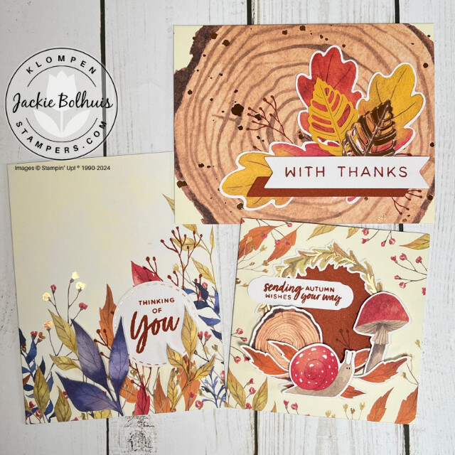 The three handmade cards designed in the September 2024 Paper Pumpkin kit. Cards are all fall themed, designed with fall colors and leaves.