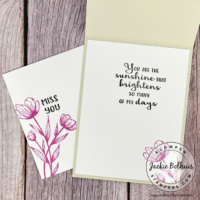 Coordinating inside of card and envelope for card idea #2.