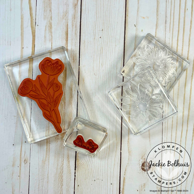 A cling stamp and a photopolymer stamp are mounted on clear blocks to show the difference between the two stamps for card making.