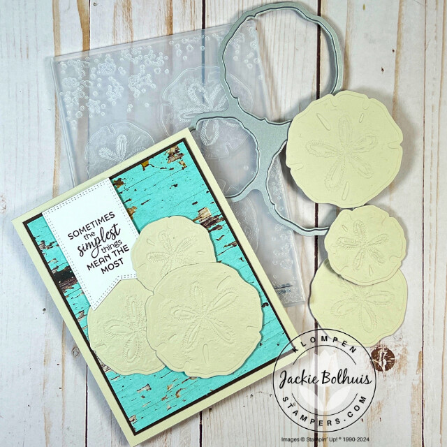 Handmade card created in Card Making 201, Class 5: Stampin' Cut & Emboss Machine, to show how to use the machine with hybrid embossing folders. Card has three sand dollars as the focal image.