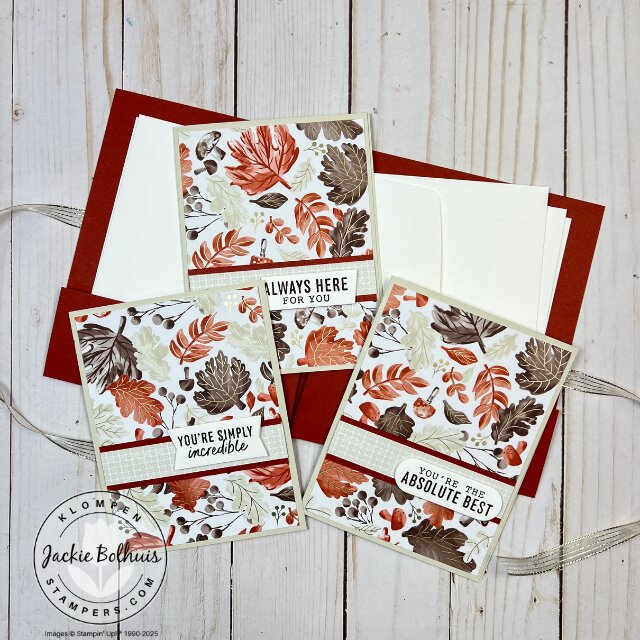 Three handmade fun fold cards displayed on top of a coordinating card folio featuring matching Designer Series Paper and stamped sentiments.