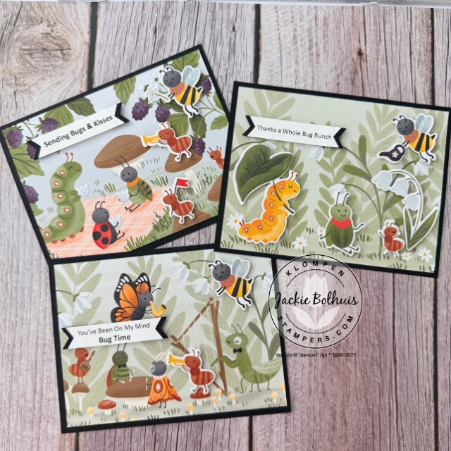 Three finished cards highlighting Cute as a Bug Designer Series Paper as the focal point with minimal stamping and Basic Black accents